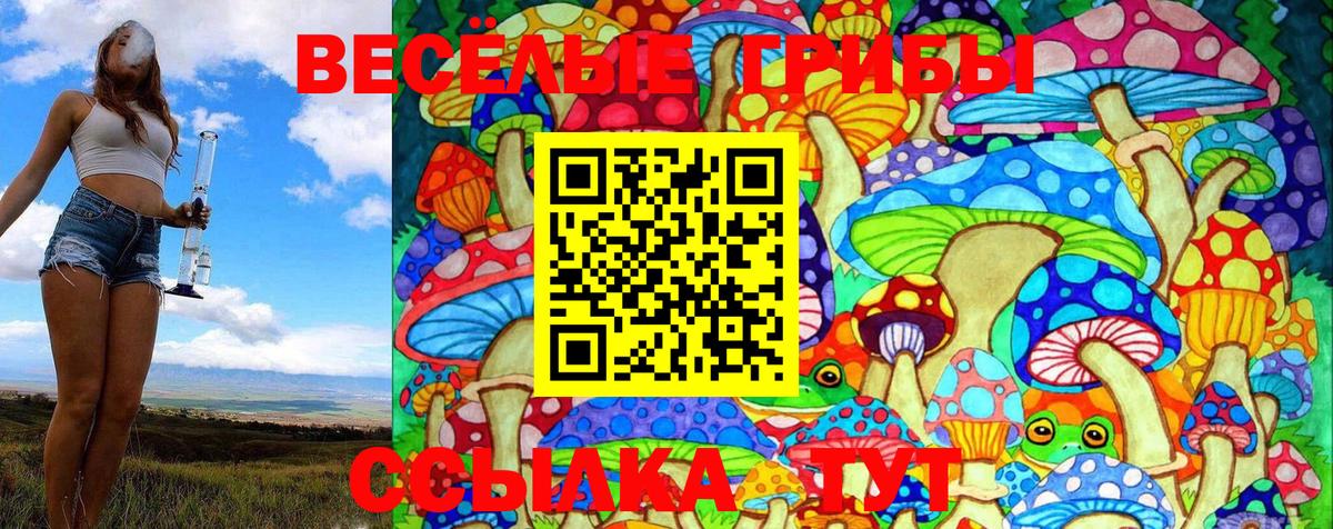 Галлюциногенные грибы GOLDEN TEACHER Ковров