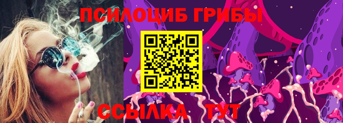 купить наркотик  Псилоцибиновые грибы мицелий  Псилоцибиновые грибы Psilocybine cubensis  Вход с VPN  Ковров 