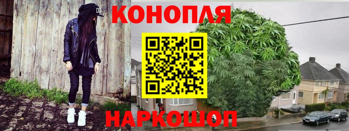 Каннабис план  Вход с VPN  Бошки Шишки SATIVA & INDICA  Ковров 